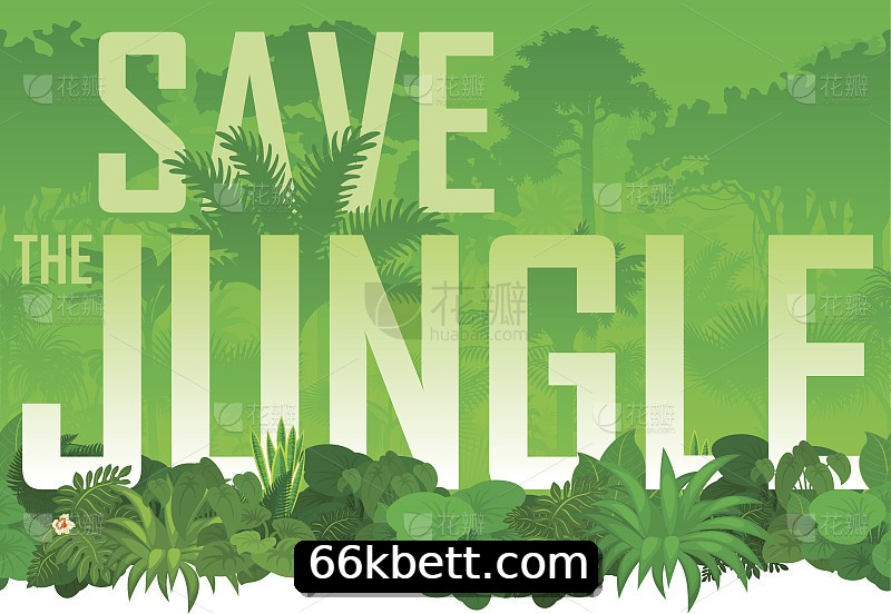 Integração de APIs 66k